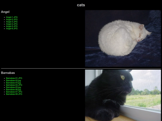 cats screenshot