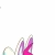 skitterhop.yorniq.xyz avatar