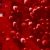 The web site of snuffpuppy666 avatar