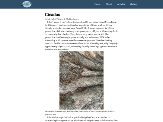 cicadas screenshot