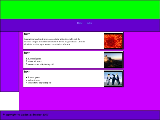 Designer_Profile/Box_Model screenshot