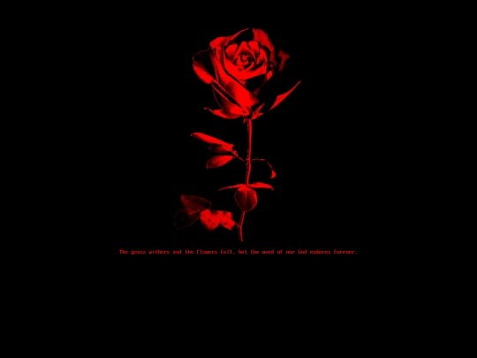rose screenshot