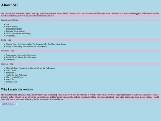 AboutMeandThisWebsite screenshot