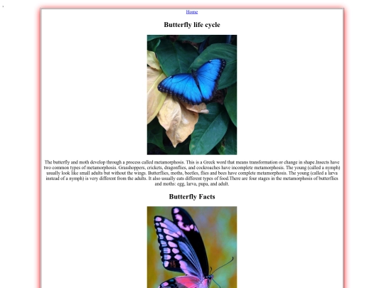 about_butterflies screenshot