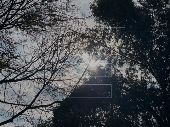 menu/menu screenshot