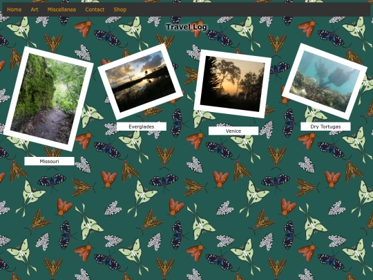 TravelLog/TravelLog screenshot