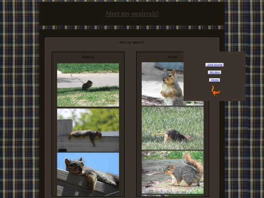 squirrels screenshot