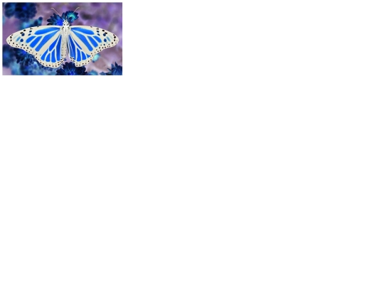 the_imitation_assignment screenshot