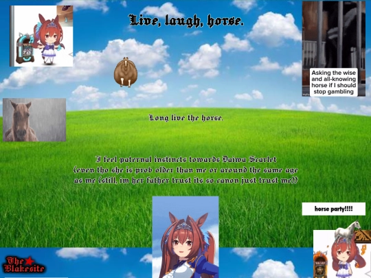 horse screenshot