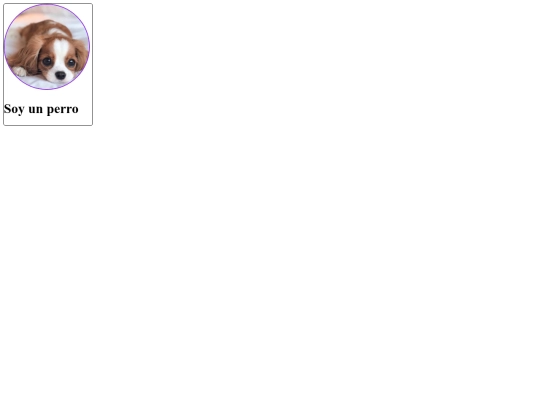 pagina screenshot