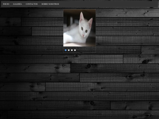 galeria screenshot