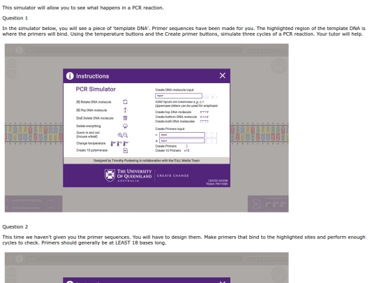 Masteryproblems screenshot