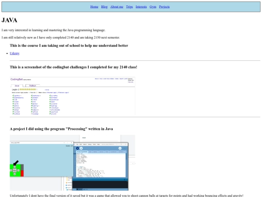 projects screenshot
