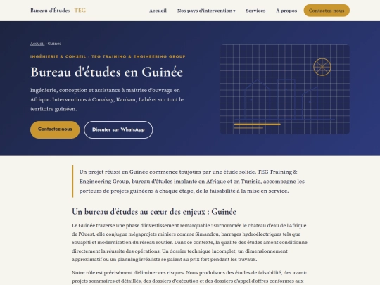 bureau-etudes-guinee screenshot