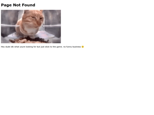 not_found screenshot