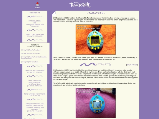 tamagotchi/2020_09_13-27 screenshot