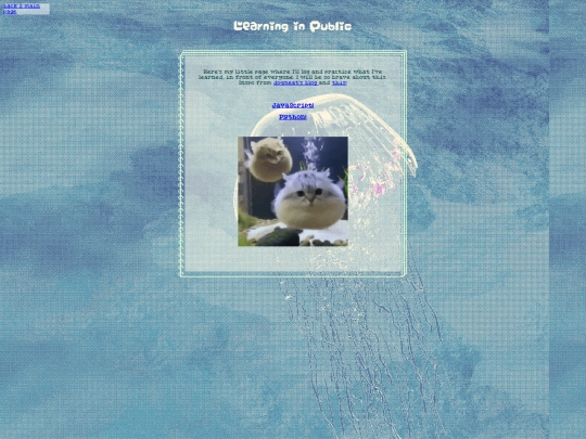 learning screenshot
