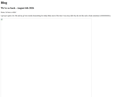 pages/Blog screenshot