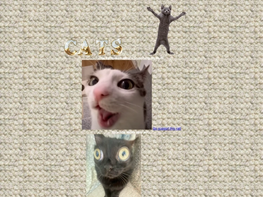 coolcats screenshot