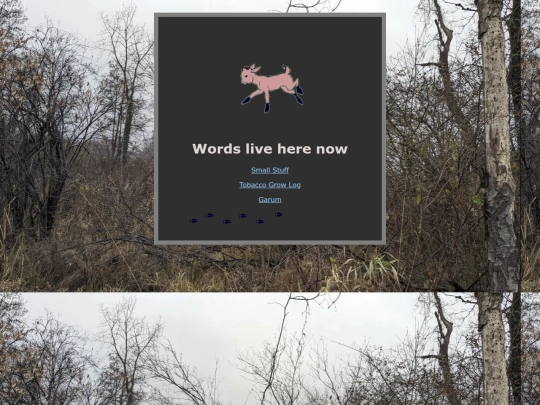 writing screenshot