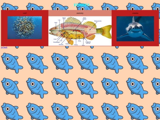 fish screenshot