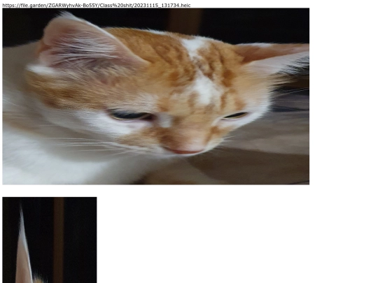 Test screenshot