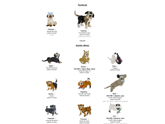APK/dachies screenshot