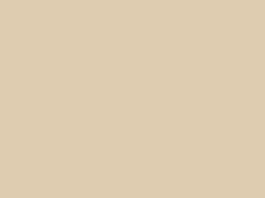 Bottom Options/blank screenshot