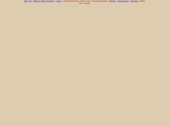 Bottom Options/catz screenshot