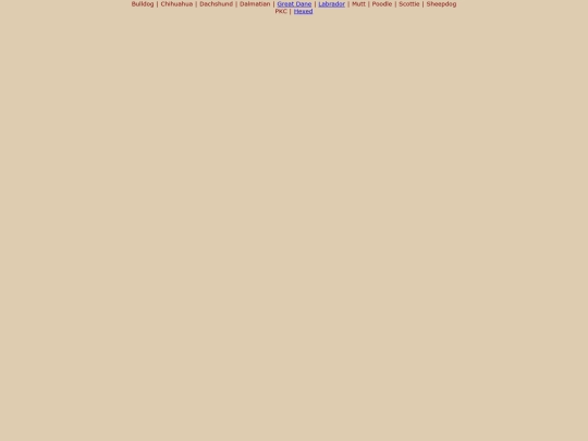 Bottom Options/dogz screenshot