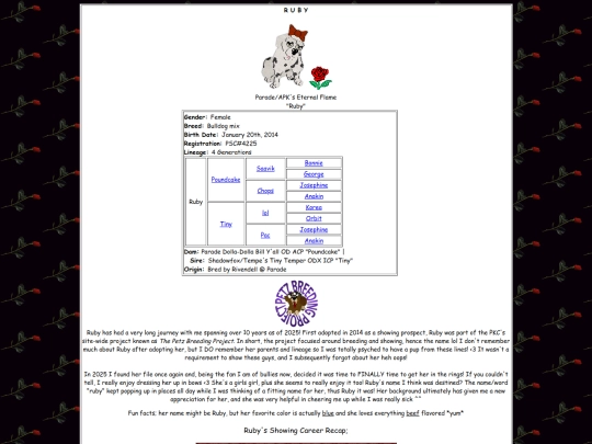 Show Records/ruby screenshot