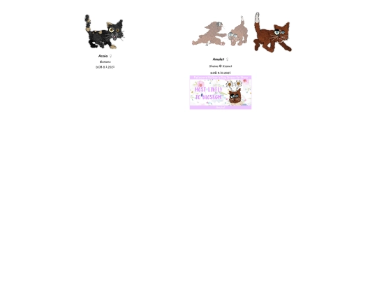 topwindow screenshot