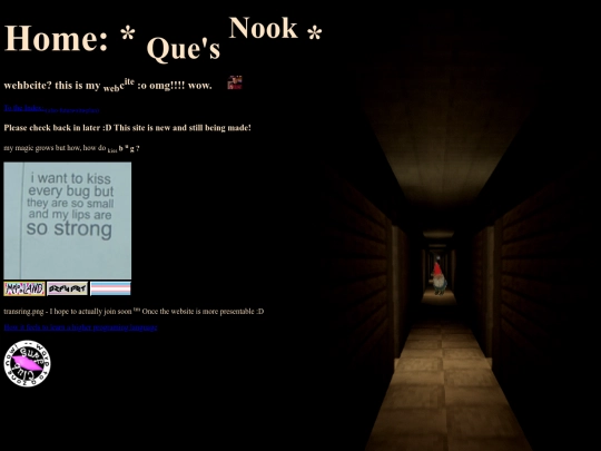 misc-html/oldhome screenshot