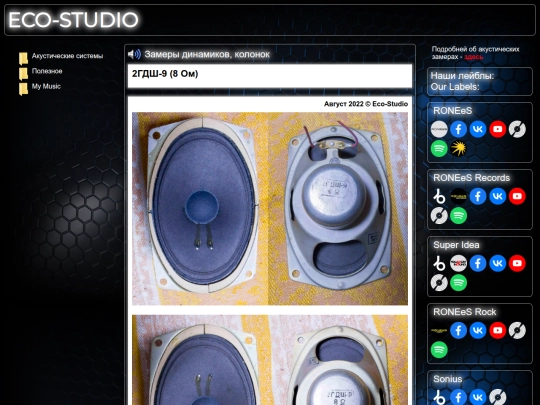 2gdsh9_8_Ohm screenshot