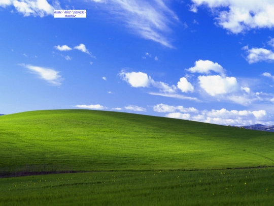 template screenshot