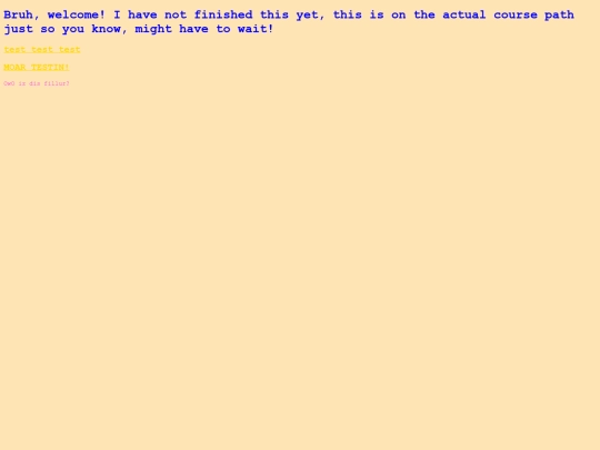 devcamp screenshot