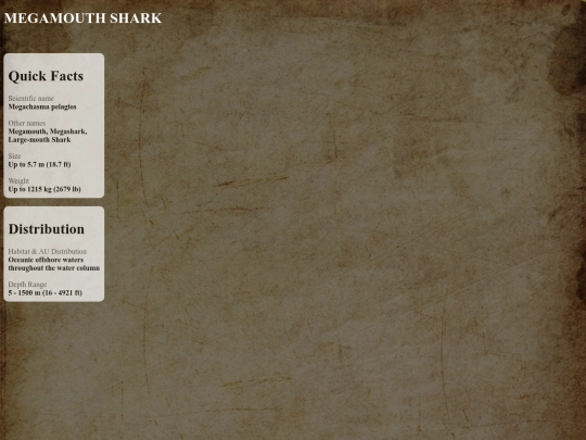 sharks/aggressive/megamouth screenshot