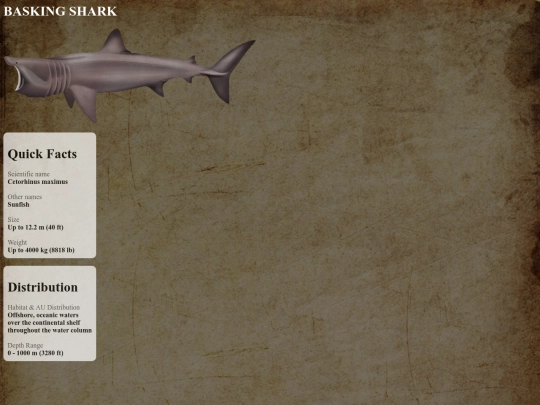 sharks/peaceful/basking screenshot