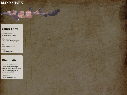 sharks/peaceful/blind screenshot