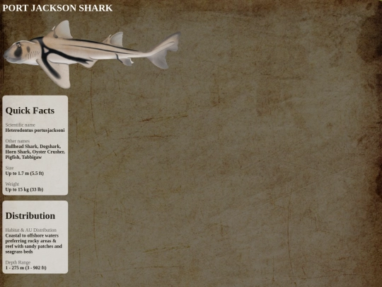 sharks/peaceful/jackson screenshot
