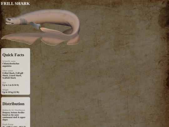sharks/rare/frill screenshot