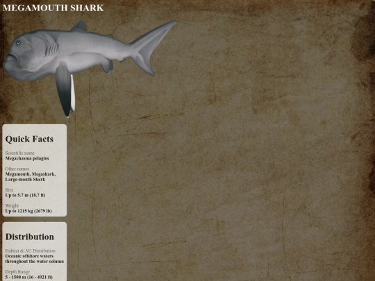 sharks/rare/megamouth screenshot