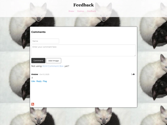 feedback screenshot
