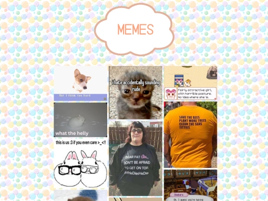 memes screenshot
