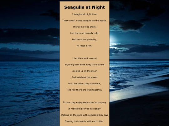 SeagullsAtNight screenshot