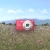 castella.yorniq.xyz avatar