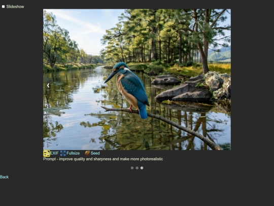 bytags/Raphael.slideshow screenshot