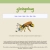 ginkgobug - home avatar