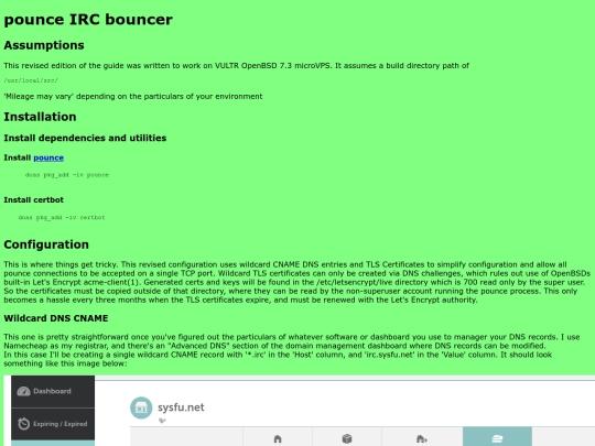 pounce-bsd screenshot
