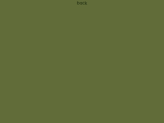 template screenshot